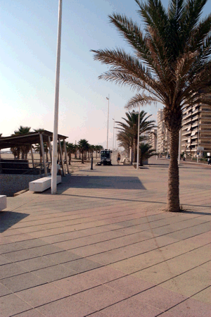 Paseo de Gand&iacute;a